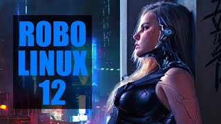 RoboLinux 12 Install and Overview [upl. by Cleodell9]