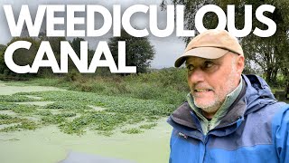 Is This The Most Weedinfested Canal In Britain an Unwanted Delay  Narrowboat Life  Episode 178 [upl. by Eloc685]