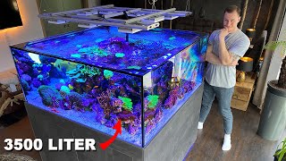 GERMAN REEF TANKS  massive saltwater aquarium 920 gallon private tour [upl. by Aisorbma]