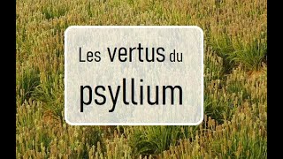 Les vertus du psyllium [upl. by Yunfei667]