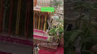 श्रीराधा रानी हरियाली तीज पर दर्शन krishanradha Barsana Dham Safed chhatriy Darshan [upl. by Evin]