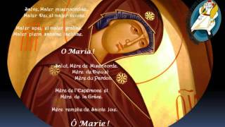 Salve Mater misericordiae latin  traduction française [upl. by Aciras]