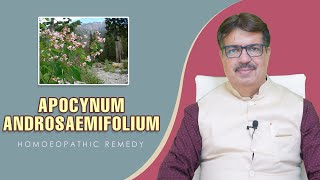 APOCYNUM ANDROSAEMIFOLIUM  HOMOEOPATHIC REMEDY  EXP BY DR K A LONGANI MD HOM LONGANI CLINICS [upl. by Flan399]