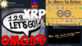 Ripple XRP DAVID SCHWARTZ AND I ARE IN A STATE OF SURPRISINGLY SHOCKED HOW CAN THIS BE [upl. by Sil]