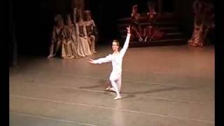 Leonid Sarafanov Siegfried variation Swan Lake [upl. by Notaes581]