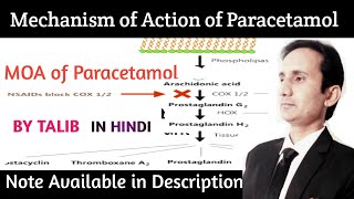 Mechanism of Action of Paracetamol In Hindi [upl. by Ahsienat]