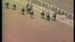 1972 Maiden Special Weights SECRETARIAT finishes 4th [upl. by Yorel933]