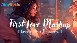 Mysterious Lofi Mashup Secrets 2024  Slowed and Reverb Songs [upl. by Aicelef130]