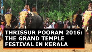 Thrissur Pooram 2016 The Grand temple festival in Kerala begins with night crackers and elephants [upl. by Malony]