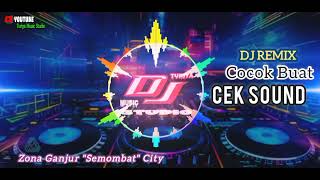 Dj Remix TerbaruCocok Buat Cek SOUND  Turiya Music Studio [upl. by Fayth]