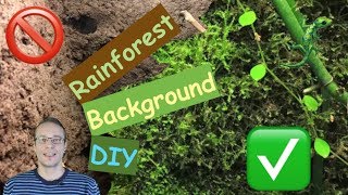 RainForest Background DIY  Terrarium Rückwand selber machen [upl. by Aisats]