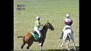 Polocrosse World Cup 2003  5th  6th Play off  Ireland vs USA  Highlights [upl. by Yannodrahc246]