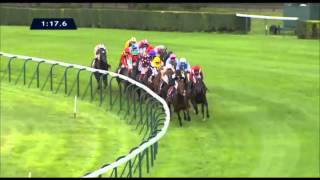 Qatar Prix de lArc de Triomphe 2013  Trêve [upl. by Palgrave]