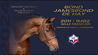 Bond Jamesbond de Hay  Grégory Wathelet amp Gilles Botton Stallions [upl. by Nohsid]