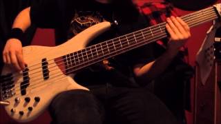 Bass Playthrough  Sacrificed Alliance  The Price of Innocence  Ibanez Ashula [upl. by Ellebana]