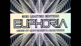 Limited Edition Euphoria Disc 15 Plummet  Damaged Antillas Remix [upl. by Anawit]