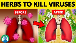 Top 10 Herbs for Lung Health Clearing Mucus COPD and Killing Viruses [upl. by Hgielak]