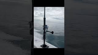 going fishing for two days Hervey bay whiting squid big woody toogoom yabbies viral [upl. by Brennen]