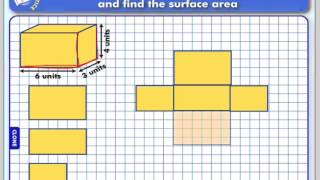 Drawing Nets and using Nets to Calculate Surface Area [upl. by Adnim400]