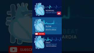 Heart Beat heart💙💙💙 heart science scienceandtechnology education youtubeshorts shorts [upl. by Oiralih]