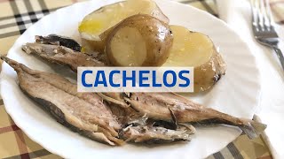 ♨️ CACHELOS 🥔 con XURELOS 🐟 [upl. by Eenram]