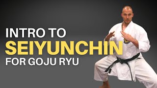 Goju Ryu Seiyunchin Kata Basics Part 1 A Detailed Introduction [upl. by Lari85]