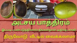 Thiruvodu maram  Atchaya pathiram  Thiruvodu benefits in tamil  திருவாேடு பயன்கள் [upl. by Levinson920]