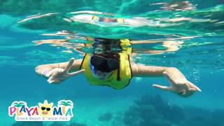 Cozumels hidden wonder Snorkeling at Colombia Reef [upl. by Filmer]