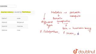 Quartan malaria is caused by Plasmodium [upl. by Erdrich249]