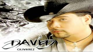 No Te Vayas  David Olivares [upl. by Hareemas]