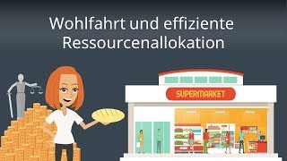 Ökonomische Wohlfahrt und Ressourcenallokation  Wohlfahrtstheorie einfach erklärt [upl. by Olympium]