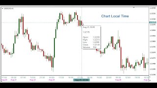 MT4 Chart Local Time Overview [upl. by Ynamrej]