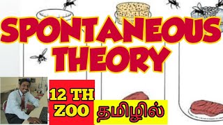 THEORY OF SPONTANEOUS GENERATION  TAMIL  ABIOGENESIS  EVOLUTION  ORIGIN OF LIFE  STD 12 [upl. by Albertina593]