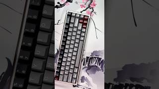 Great Alternative to the Wooting 60HE that is more affordable the Luminkey Magger 68HE Pro [upl. by Hainahpez]