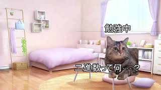 基本情報技術者試験４回目で受かった話【猫ミーム】 [upl. by Merat]