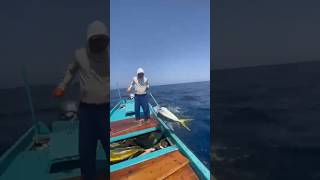 Skill Dewa Mancing di tengah laut lepas short fishing mancingmania [upl. by Celina]