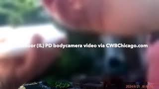 Flossmoor IL Police Body Camera — Kim Foxx assault case  Initial Response [upl. by Mohandis413]