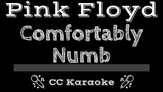 Pink Floyd • Comfortably Numb CC Karaoke Instrumental Lyrics [upl. by Roddie]