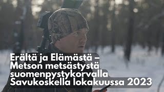 Metson metsästystä suomenpystykorvalla Savukoskella lokakuussa 2023 [upl. by Aonehc302]