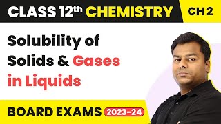 Solubility of Solids and Gases in Liquids  Solutions  Class 12 Chemistry Chapter 2 202223 [upl. by Yaja]