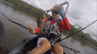 EP 2  Double Hookup Fishing  Coochin Creek Part 1  Bream Cod Mangrove Jack [upl. by Louis157]