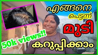 Natural Hair Dyevery Easy HennaIndigo Powder  Waterഒന്നരമാസം നിൽക്കും [upl. by Ysac]