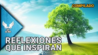 MARATÓN Reflexiones de la Vida  Dios Amor y Espiritualidad en Nuestro Diario Vivir  Soy De Dios [upl. by Yrannav909]