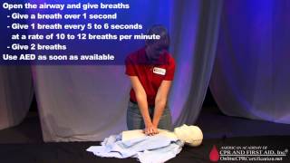 Adult CPR Training Video  How to Do CPR [upl. by Enoj]