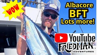 SoCal Albacore Excellent bluefin tuna fishing with more yellowfin tuna coming Great local fishing [upl. by Ellerrehs286]