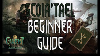 Gwent  How To Play The Scoiatael Beginner Deck [upl. by Alyakim]