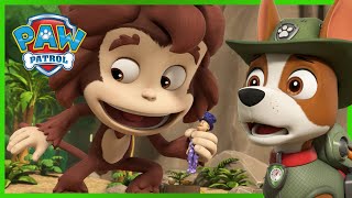 Pups Save Humdinger from a Giant Monkey  PAW Patrol  Cartoons for Kids Compilation [upl. by Thornton466]