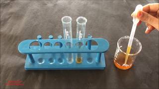 Phytochemical Test for Tannins English  Tannins Identification Test  Tannins Phytochemical Test [upl. by Wardlaw]