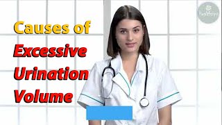 Medical Causes of Excessive Urination Volume [upl. by Madlen]