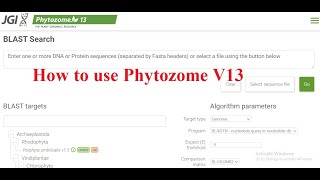 Phytozome v13  How to use Phytozome v13  CDS Genome Protein Sequence from Phytozome V13 [upl. by Nathanson274]